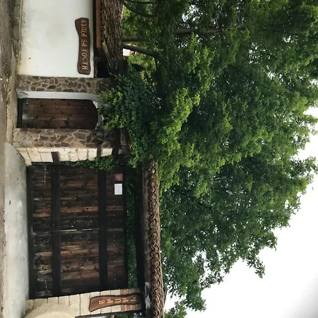 Къща За Гости Чапая - С. Кипра Gasthof Kipra